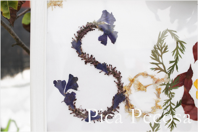 cuadro-nombre-flores-secas-diy-sofia-01