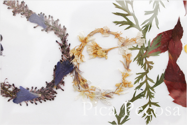 cuadro-nombre-flores-secas-diy-sofia-02
