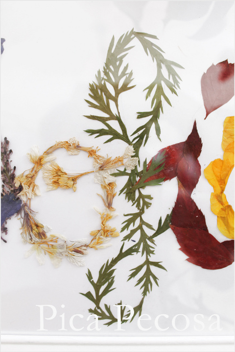 cuadro-nombre-flores-secas-diy-sofia-03