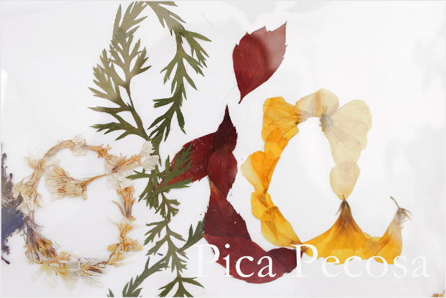 cuadro-nombre-flores-secas-diy-sofia-04