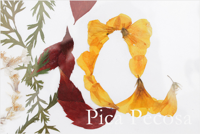 cuadro-nombre-flores-secas-diy-sofia-05